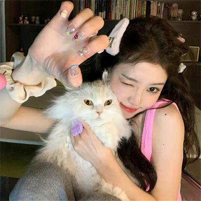 状王宋世杰粤语